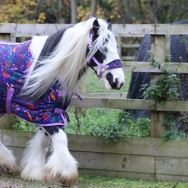 Enchanted Forest Head Collar