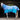 NEW Squeaky Clean Turnout Rug 1