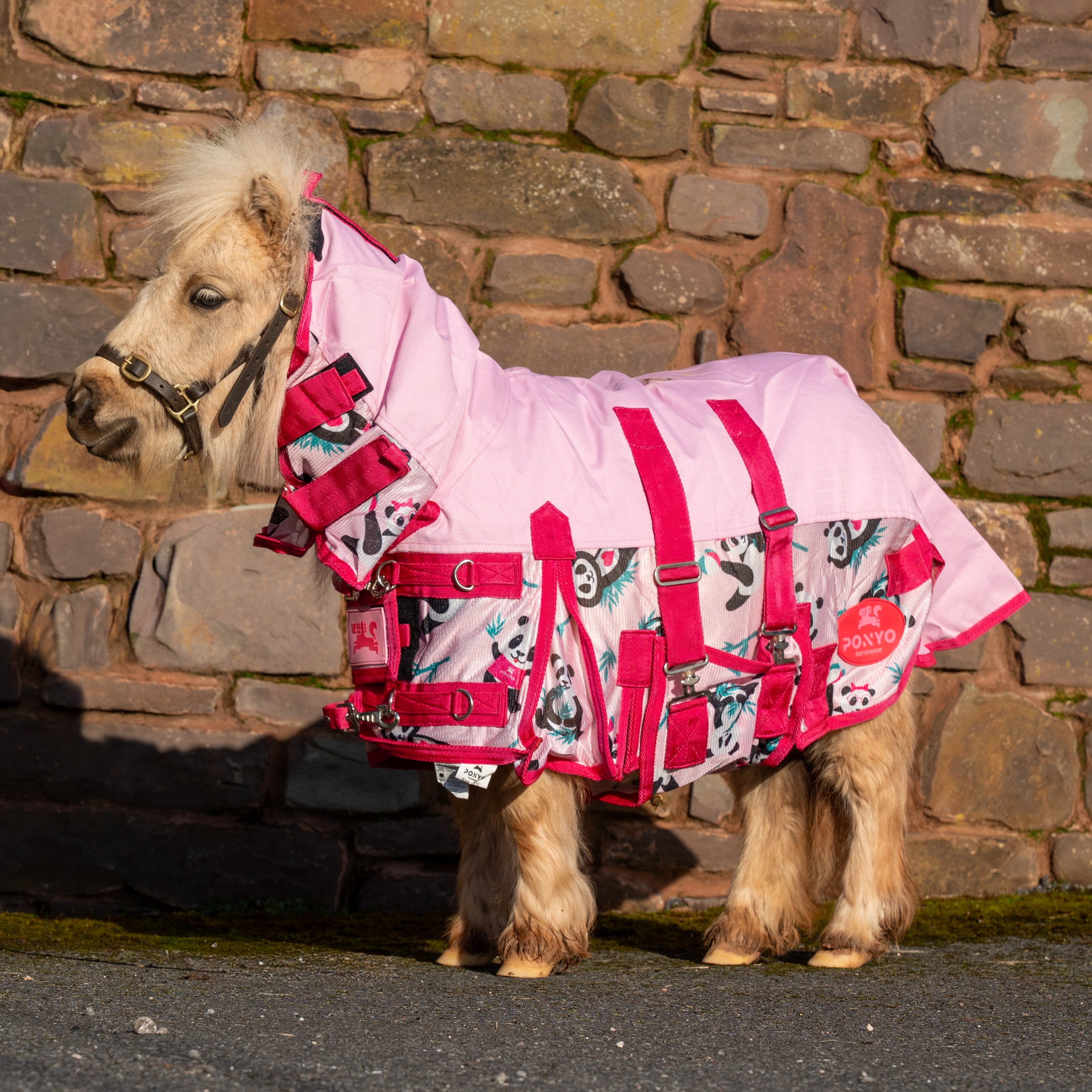Horse Feathers LP ① オルタナ カントリー Panda Pals Fly Rug - 3'0, Waterproof – Ponyo Horsewear