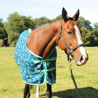 Peacock Fleece