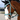 Sparkle Bridle & Brow Band Aqua