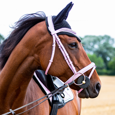 Sparkle Bridle & Brow Band Blush