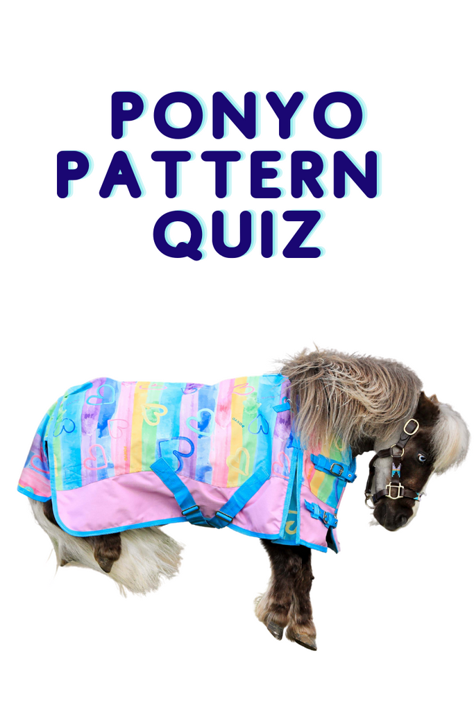 The Ponyo Pattern Personality Quiz!