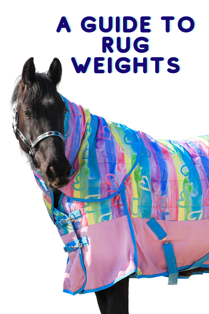 Horse rug guide: make the right choice for your horse – Ponyo Horsewear