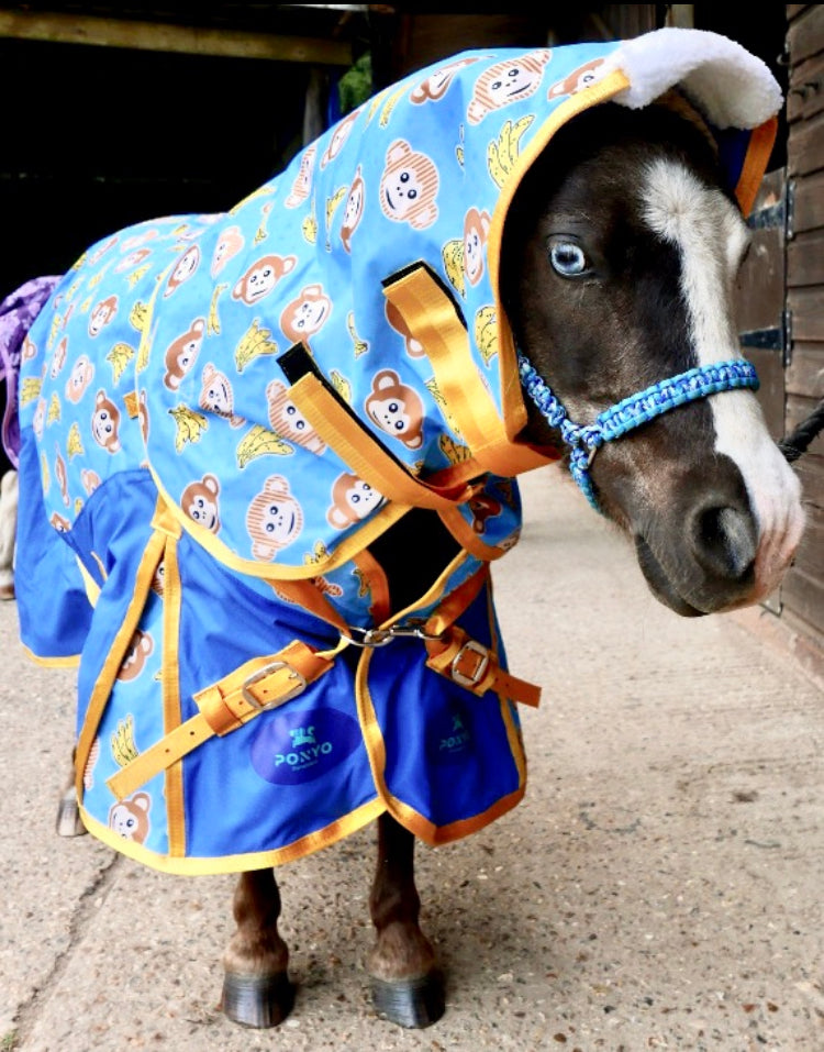 colourful horse rugs, horse rug, turnout rugs, rainsheet horse rug, horsewaer, quilted stable blanket, yellow horse rug, hobby horse western wear, ride on rugs for horses, horseware blanket sale