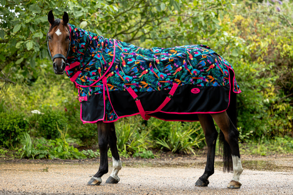 Turnout Rugs – Ponyo Horsewear