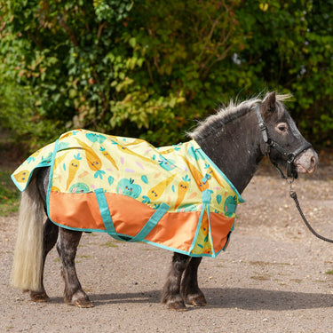 Snack Time Turnout Rug