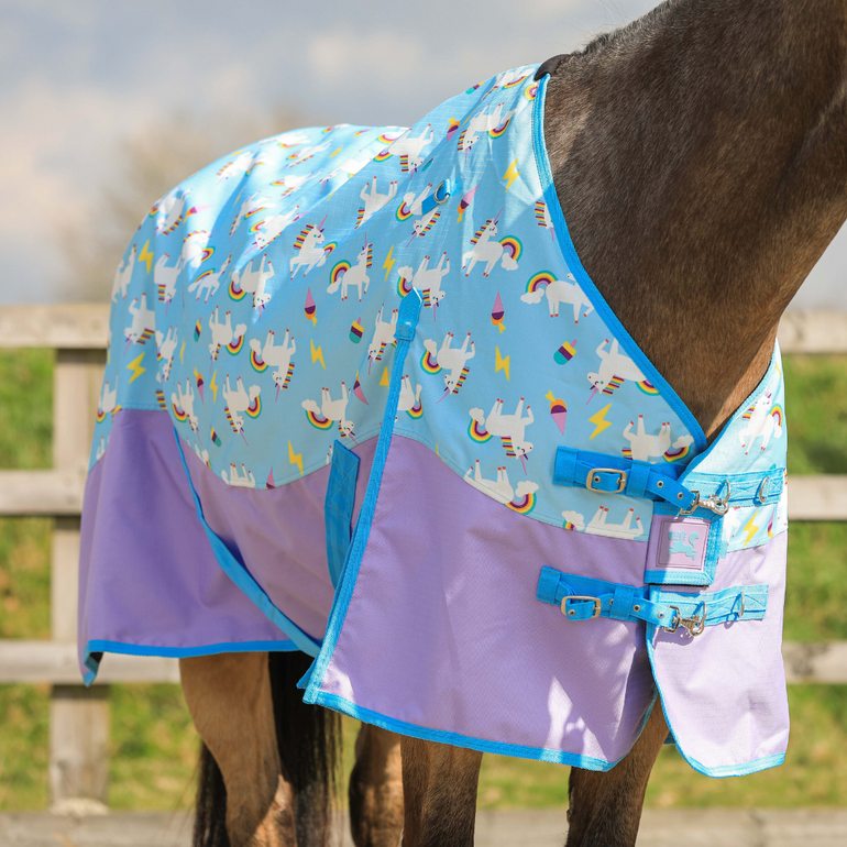 Turnout Rugs – Ponyo Horsewear