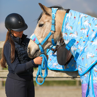 Blunicorns Stable Rug 1