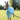 Champion Fleece 5