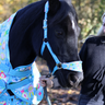 Champion Head Collar - Full