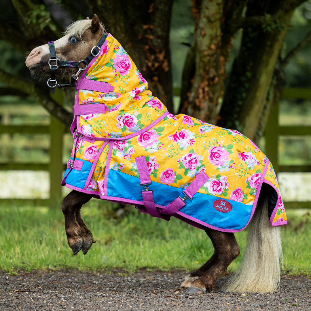 Stable Wear Country Garden Stable Rug – Ponyo Horsewear