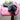 NEW Country Star Saddle Pad