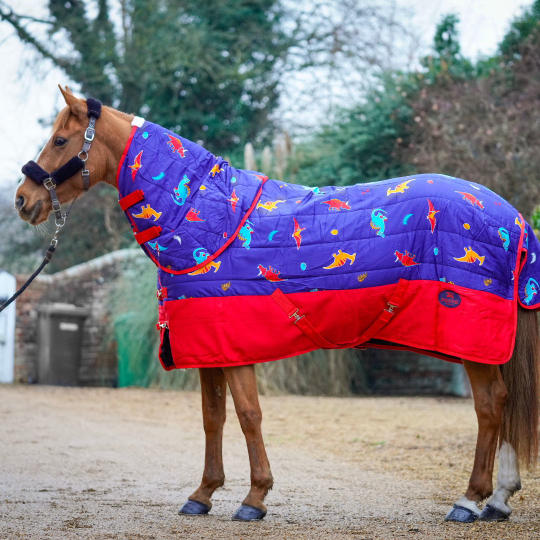 Dinky Dinos Stable Rug 3'0, 100g – Ponyo Horsewear