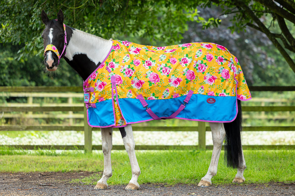 Turnout Rugs Page 2 Ponyo Horsewear