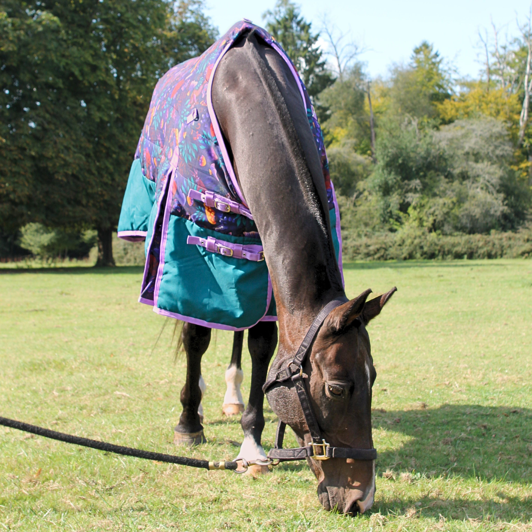 Stable Wear Enchanted Forest Stable Rug – Ponyo Horsewear