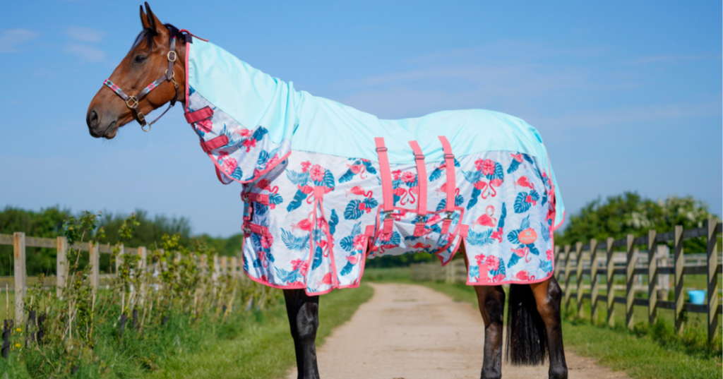 Rugs – Ponyo Horsewear