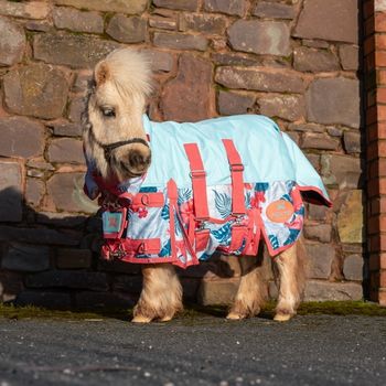 Flamingo Fly Rug - 3'0