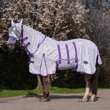 NEW Ice Ice Lolly Fly Rug