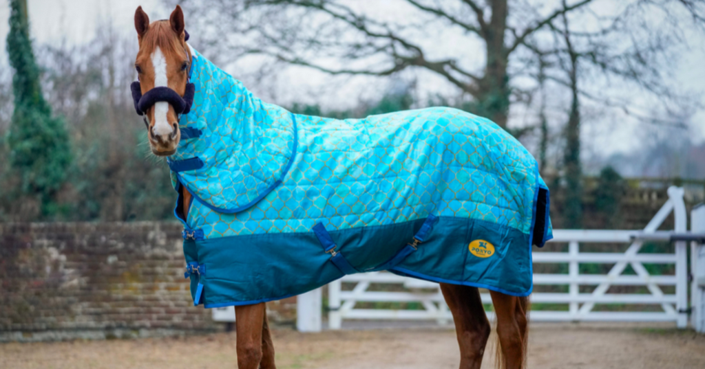 Stable Rugs – Ponyo Horsewear