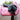 NEW Country Star Saddle Pad