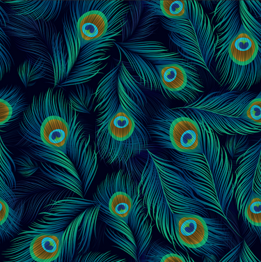 Peacock 1