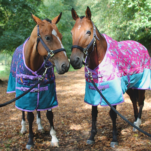 Pony Princess Stable Rug 3