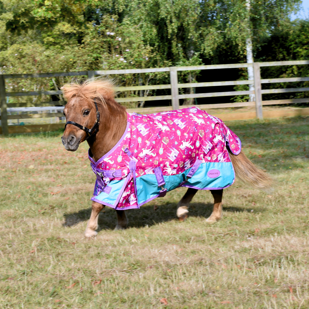 Hom Pony Pony Princess Turnout Rug – Ponyo Horsewear