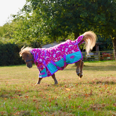 Pony Princess Turnout Rug 1