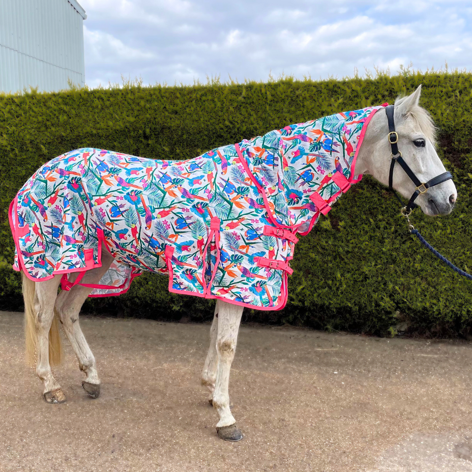 Pretty Polly Fly Rug – Ponyo Horsewear