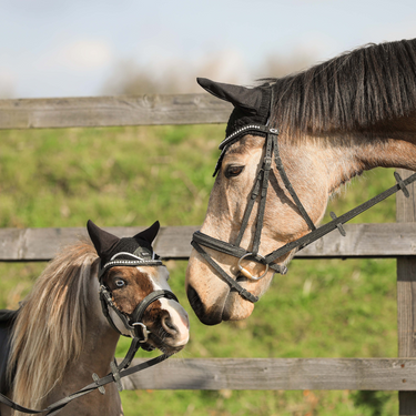 Sparkle Reins - Oak Green