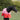 Sweetheart Turnout Rug