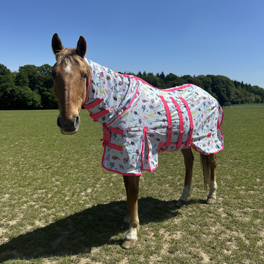 Thunderstruck Mesh Fly Set