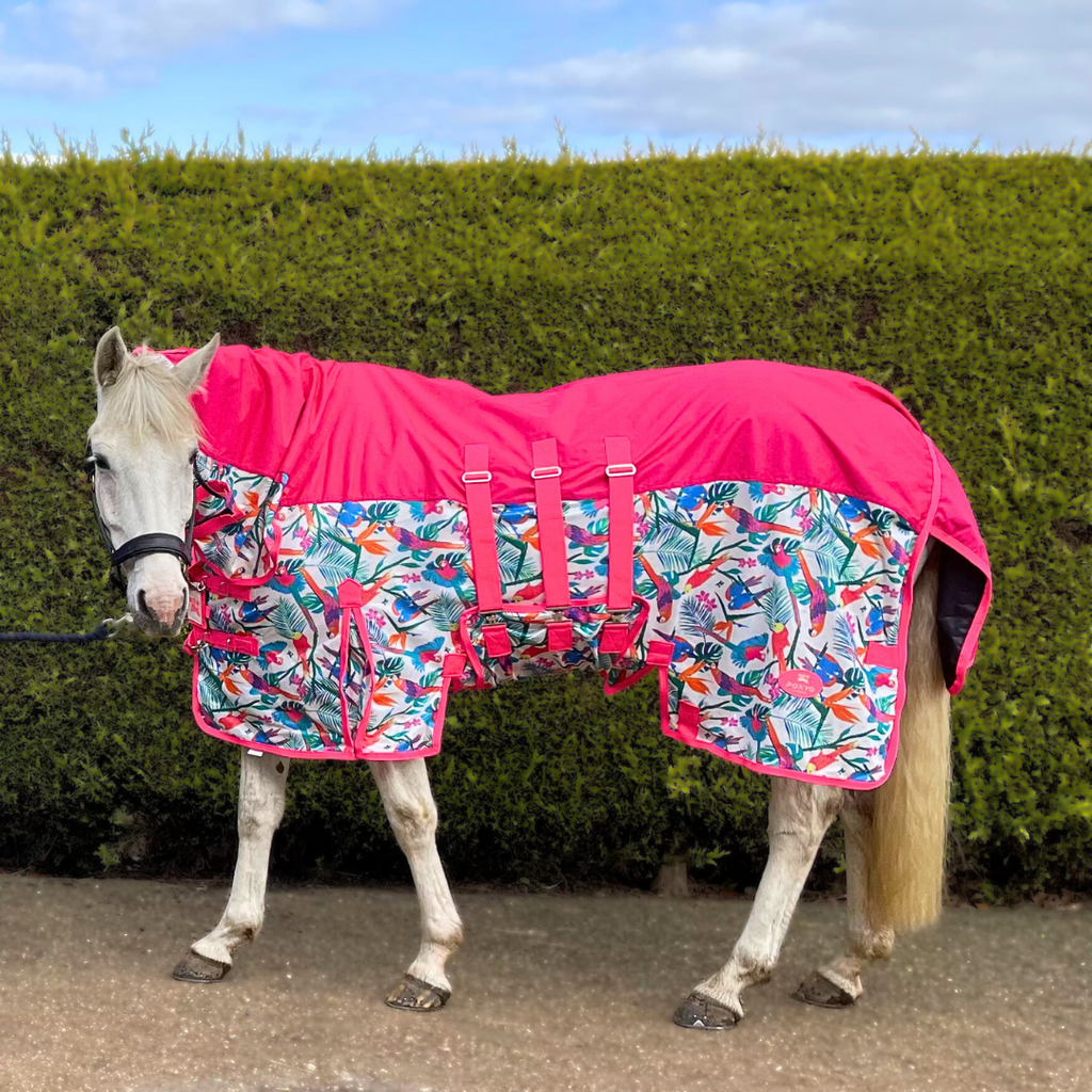 Fly Rugs & Fly Masks – Ponyo Horsewear
