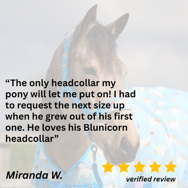 Blunicorns Head Collar & Lead Rope Set - Small Pony