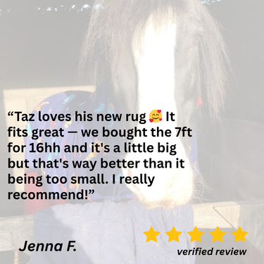 Dinky Dinos Stable Rug 3'3, 100g