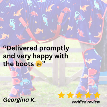 Dinky Dinos Fleece - 3'0, No Neck