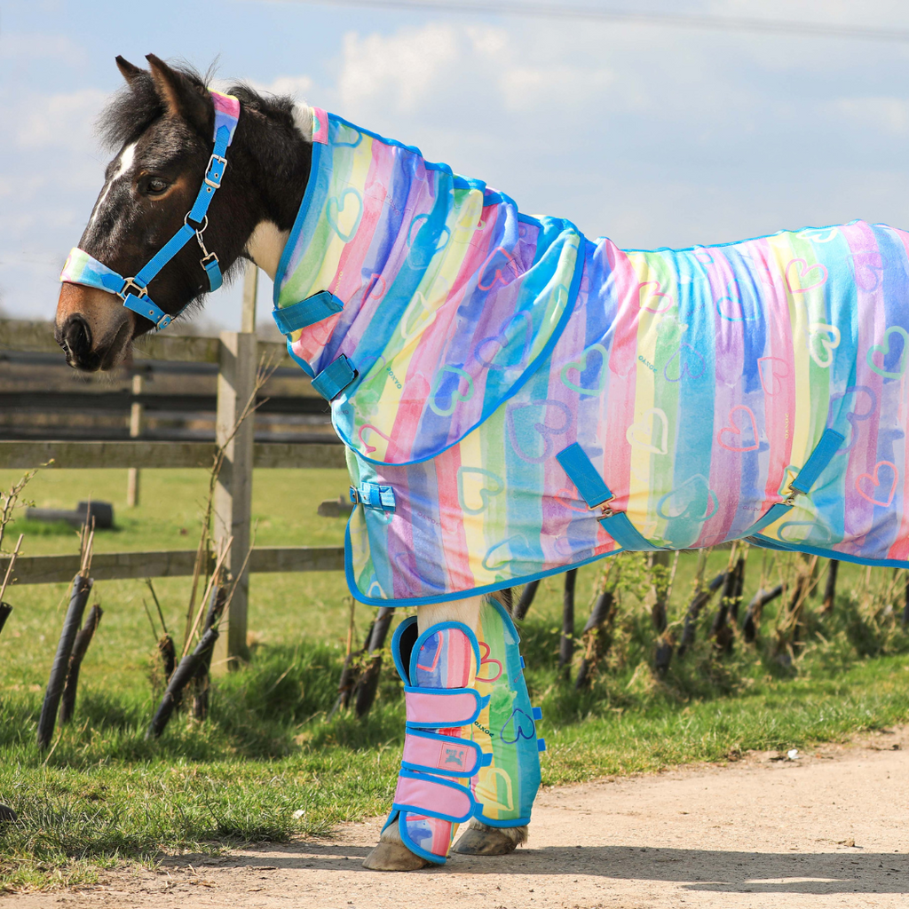 Rainbow horse boots clearance