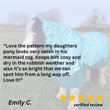 Oh My Mermaid Turnout Rug - 3'0, 50g