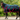 Pretty Polly Turnout Rug