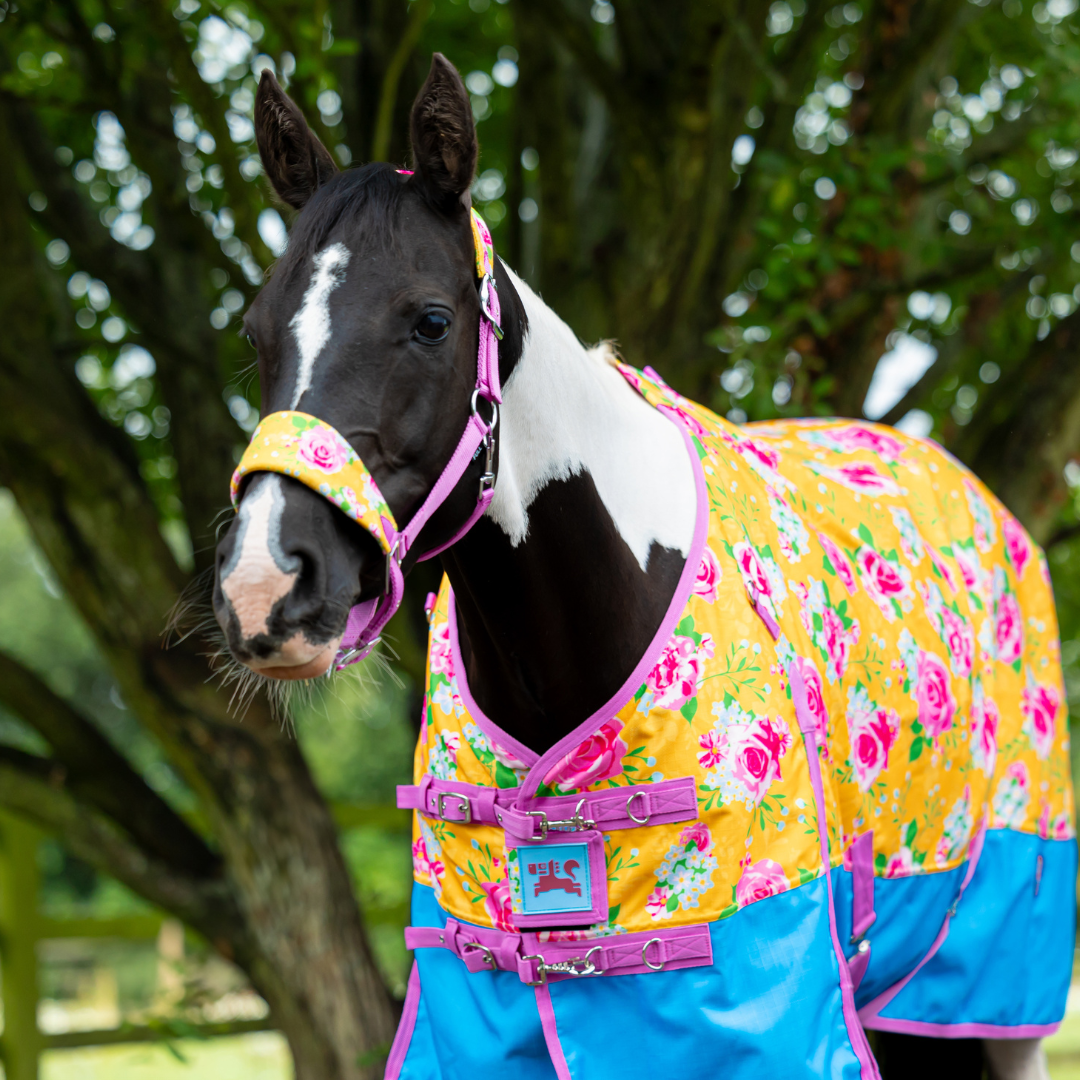 Country Garden No Fill Turnout Rug – Ponyo Horsewear