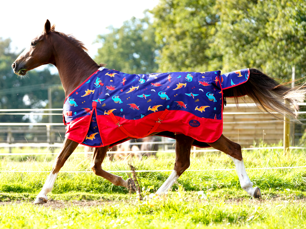 Buy Horze Pony Turnout Rug with Crown Print, 100g