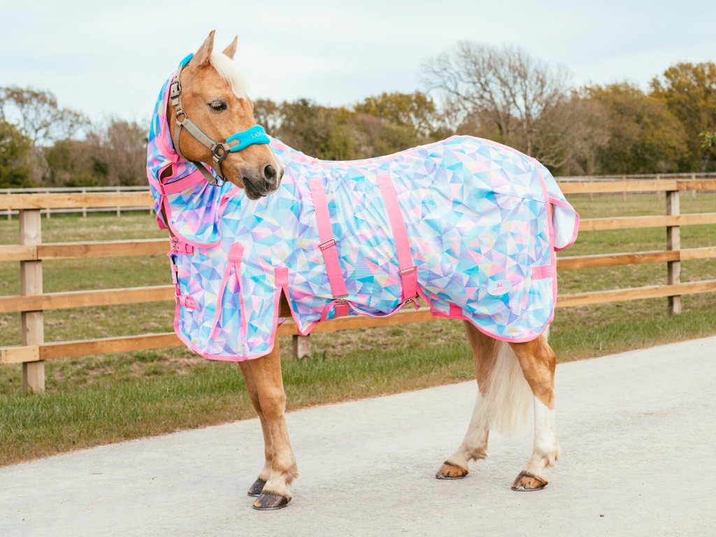 Fly Rugs & Fly Masks – Ponyo Horsewear