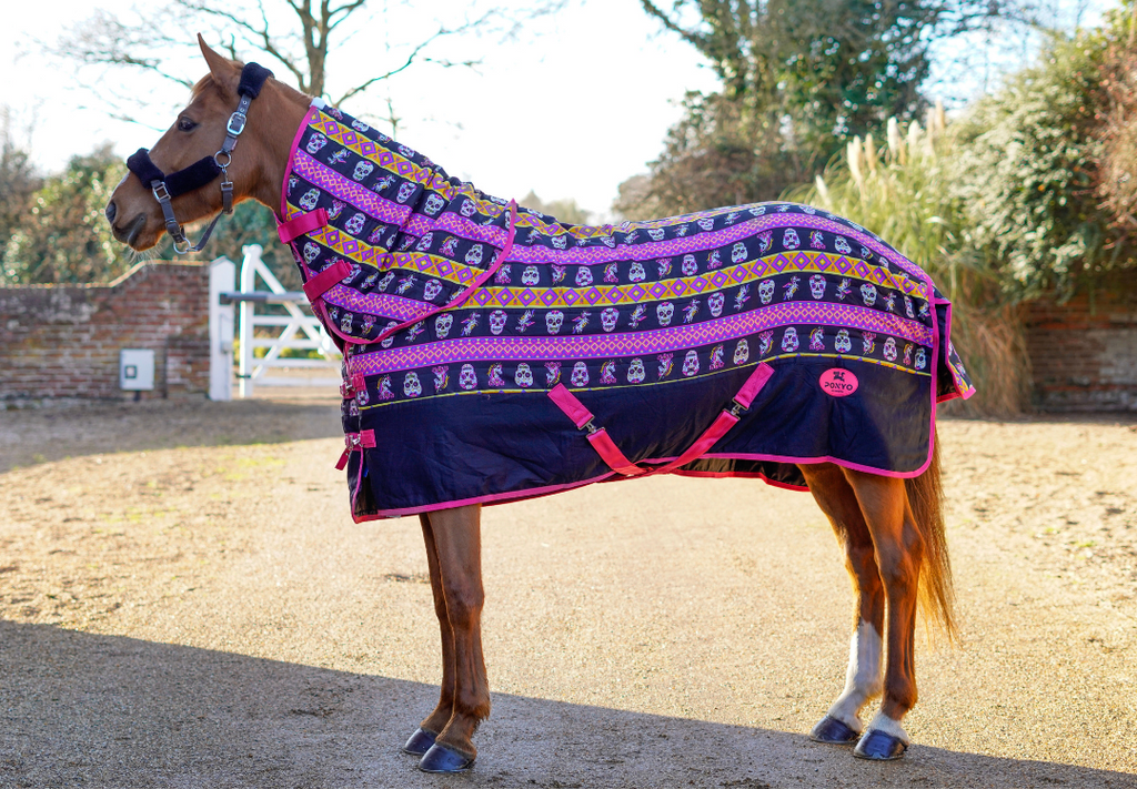 Horse rug guide: make the right choice for your horse – Ponyo Horsewear